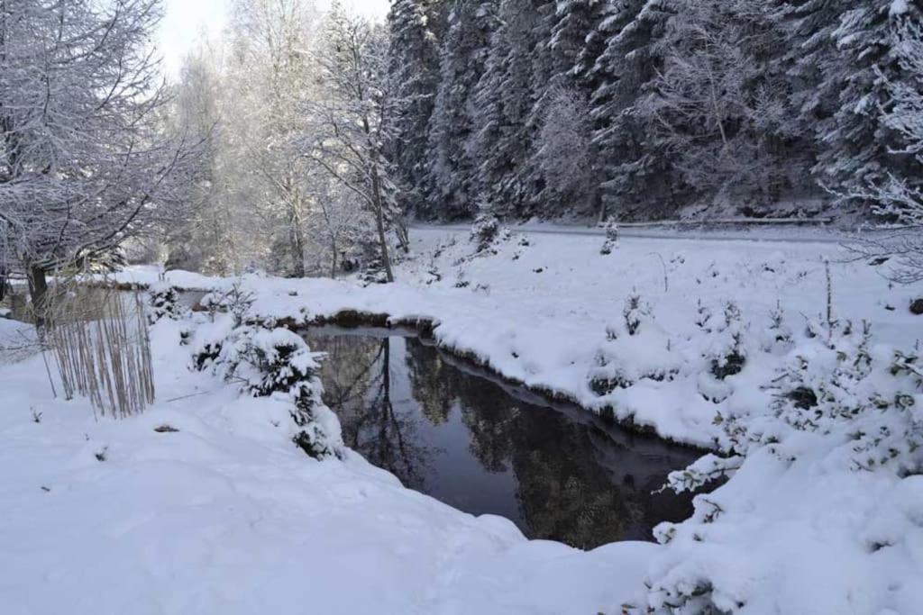 Gite GRETEL de la Ferme du Schneeberg Wangenbourg-Engenthal Exterior foto